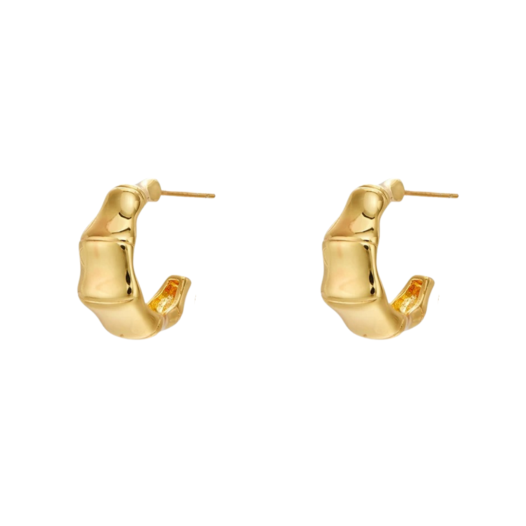 Heidi Earrings