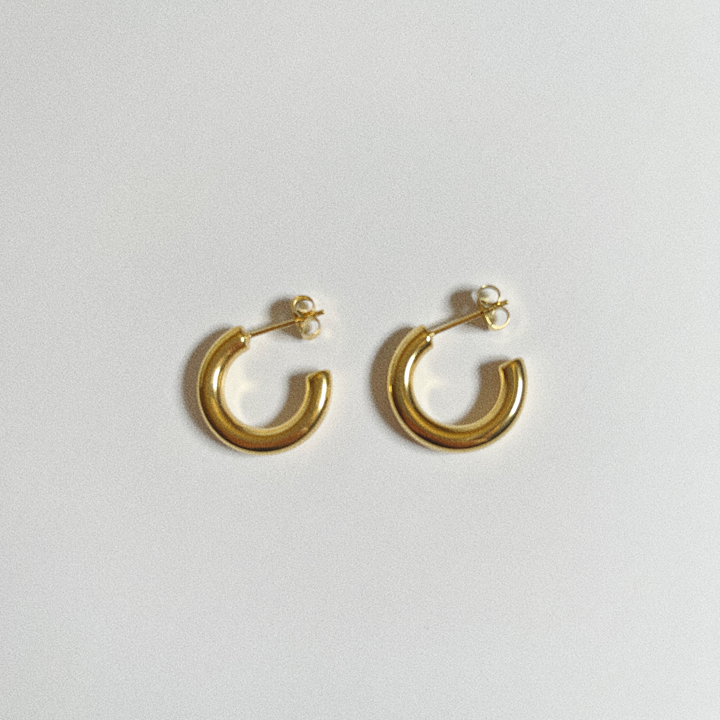 Joyce Hoops