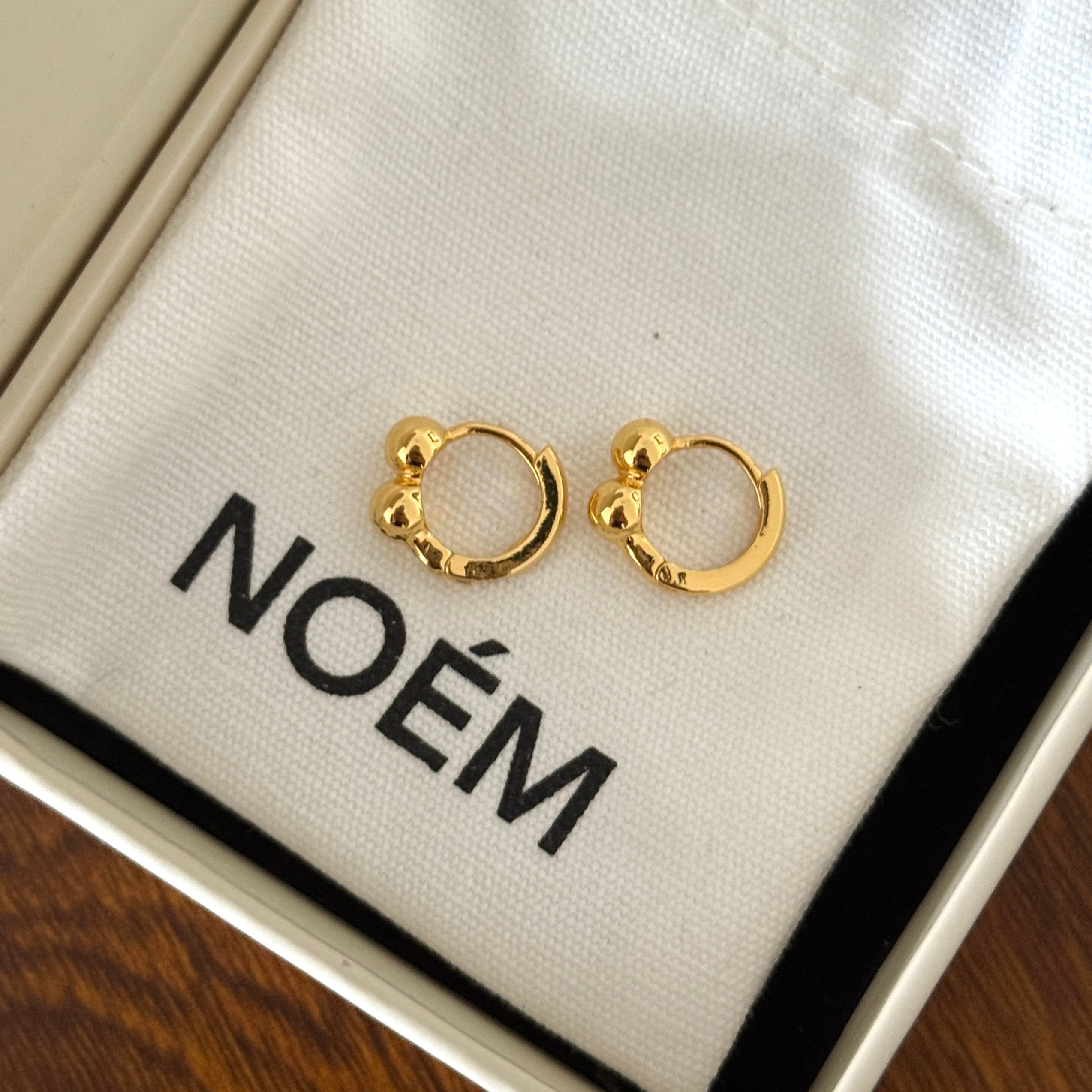 Nicole Hoops